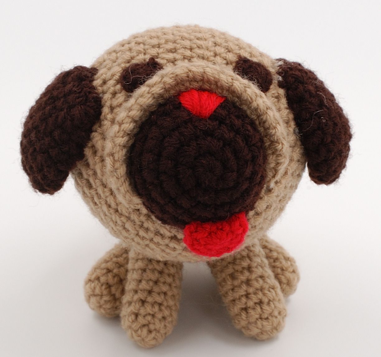 Pug Dog