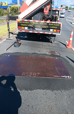 Non Slip Plate