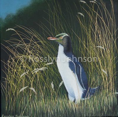 &quot;Endangered&quot;, Yellow eyed penguin SOLD