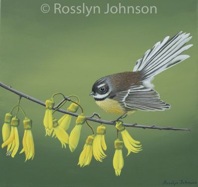 Fantail Feasting on Flax Flowers
