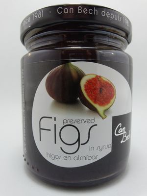 Preserved Figs 285g