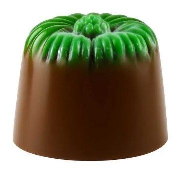 New Zealand Kiwifruit