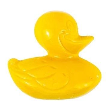 Chocolate Duck