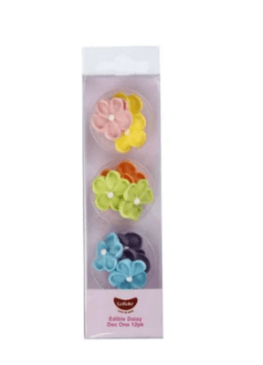 Rainbow Daisies - 12pk