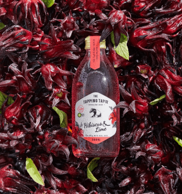 Hibiscus &amp; Lime Soda 300ml