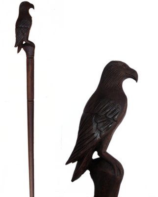 Walking Stick / Hawk