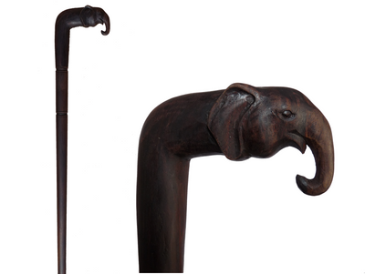 Walking Stick / Elephant