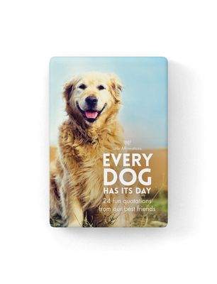 Affirmation Boxed Cards / Every Dog has it&#039;s Day