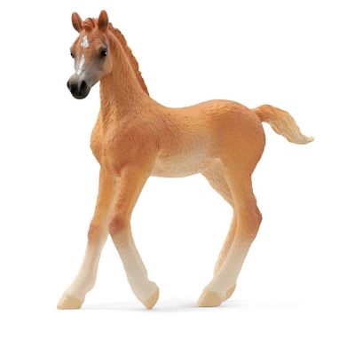 Schleich Collectable - Arabian Foal