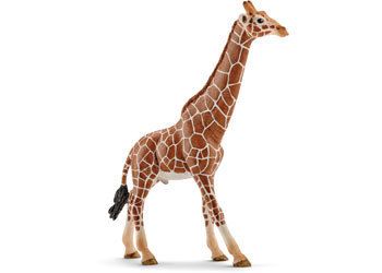 Schleich Collectables - Giraffe Male