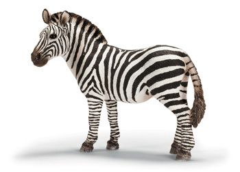 Schleich Collectables - Zebra Female