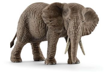 Schleich Collectables - Elephant Female