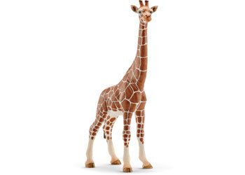 Schleich Collectables - Giraffe Female