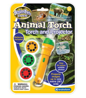 Torch and Projector / Animal