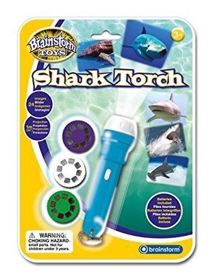 Torch and Projector / Shark