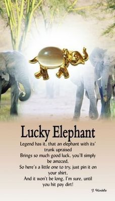 z Affirmation Angel Pin - Lucky Elephant