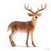 Schleich Collectables - White Tailed Buck