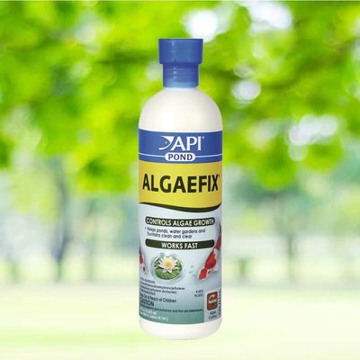 zwf API Pond -  Algaefix 473ml