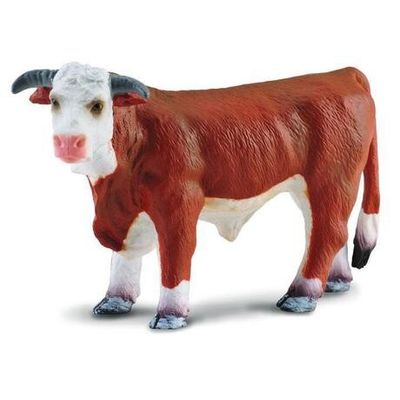 Collect A - Hereford Bull