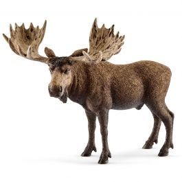 Schleich Collectables - Moose Bull