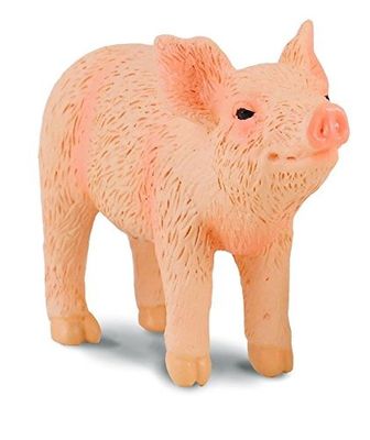 Collect A - Piglet (smelling)