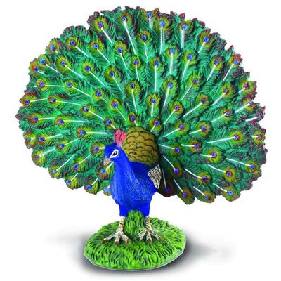 Collect A - Peacock