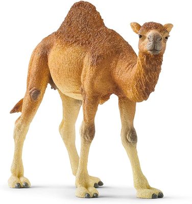 Schleich Collectables - Dromedary