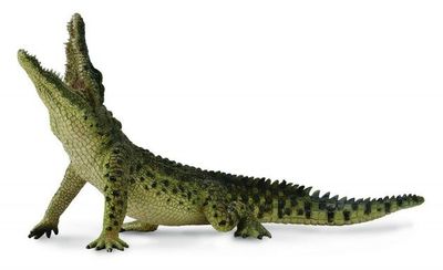 Collect A - Nile Crocodile