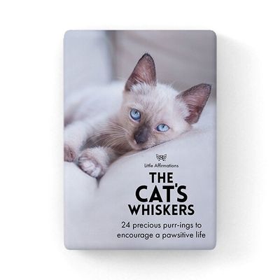 Affirmation Boxed Cards / The Cats Whiskers