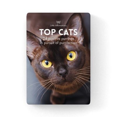 Affirmation Boxed Cards - Top Cats