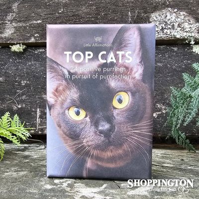 Affirmation Boxed Cards - Top Cats