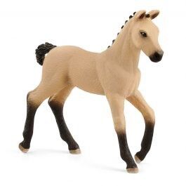 Schleich Collectable - Hannoverian Foal