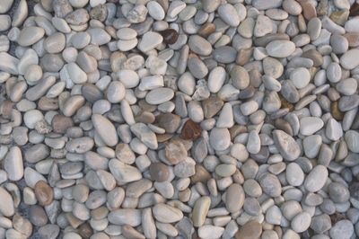 Landscape - Bag of Decorative Stones 10kg - Pastel Pebbles (small)