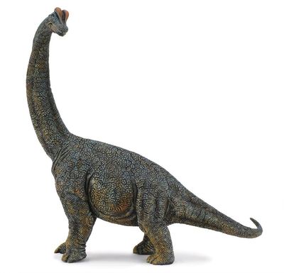 Collect A - Brachiosaurus Deluxe