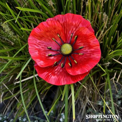 Garden Stake - Metal Poppy (L) 50cm