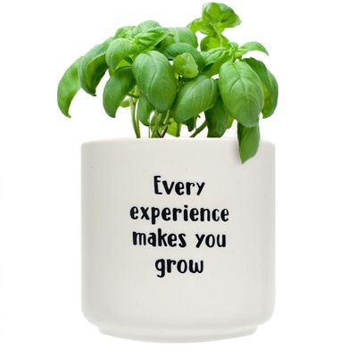 Positive Pots - Grow
