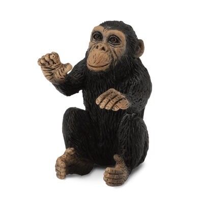 Collect A - Chimpanzee Cub Hugging