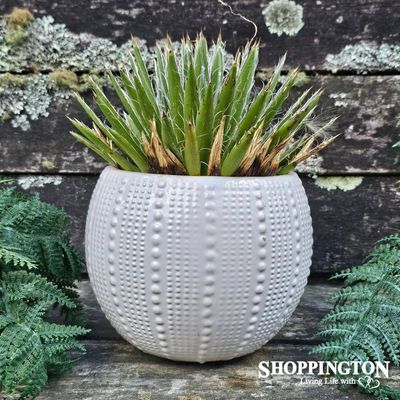 Ceramic White Kina Pot Planter 18cm x 14cm