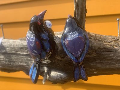 NZ Made Garden Ornament - Splashy Bird Art / Dark Tui Bird