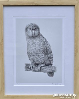 Tara Cassidy - Framed Print - Kakapo