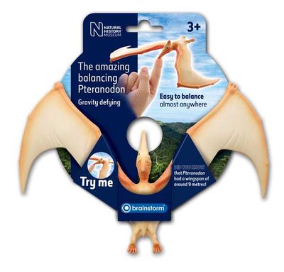 Balancing Pteranodon