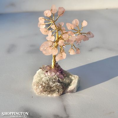 Crystal Tree - Rose Quartz with Fluorite Base 10cm