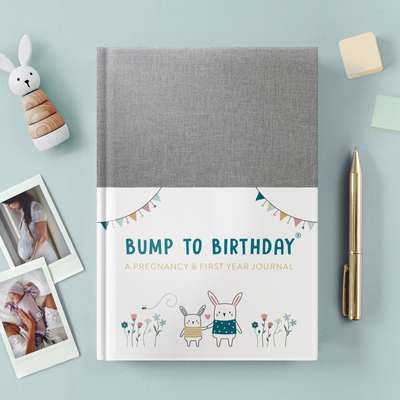 Bump to Birthday Fabric Journal Book (pregnancy + first year)