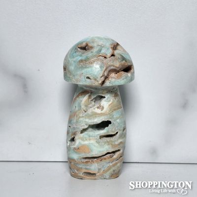 Amazonite Stone Mushroom #3