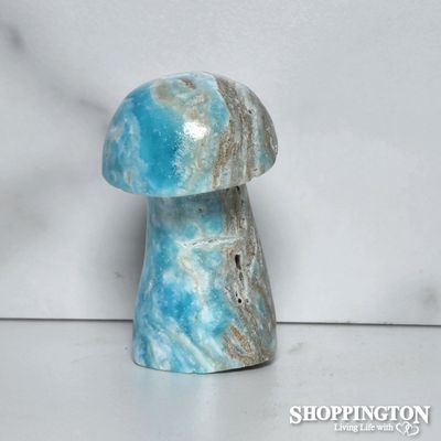 Amazonite Stone Mushroom #2