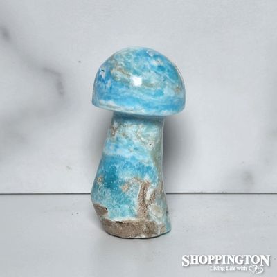 Amazonite Stone Mushroom #1