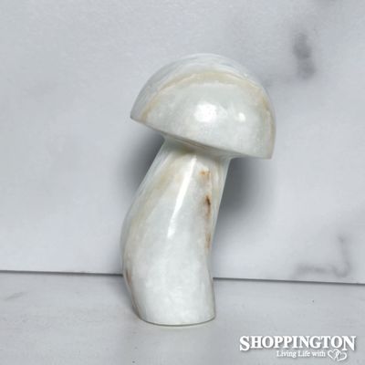 Carribean Calcite Stone Mushroom #2