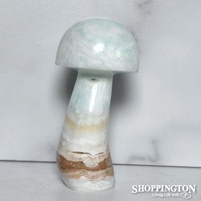Carribean Calcite Stone Mushroom #3