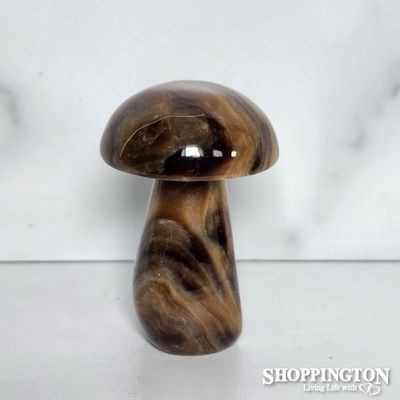 Chocolate Stone Mushroom #2