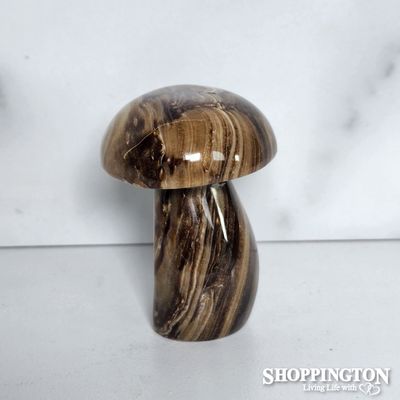 Chocolate Stone Mushroom #3